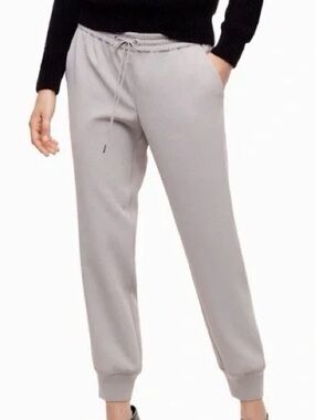 Aritzia Wilfred pants jogger style gray size small